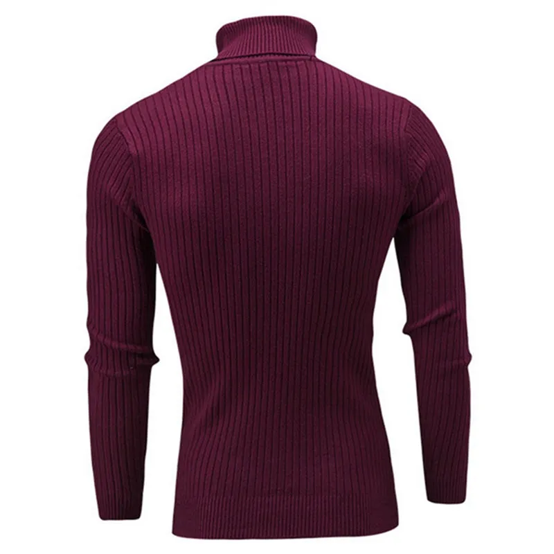 West Louis Turtleneck Solid Casual Sweater