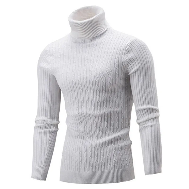 West Louis Turtleneck Solid Casual Sweater