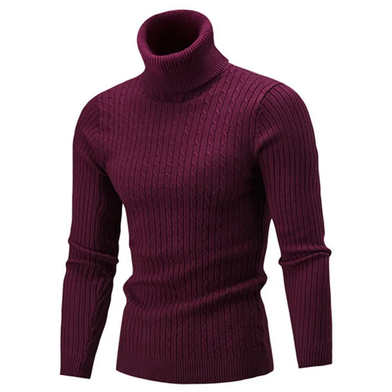 West Louis Turtleneck Solid Casual Sweater