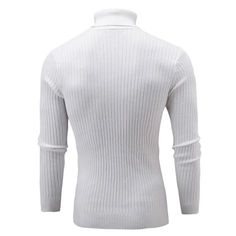 West Louis Turtleneck Solid Casual Sweater