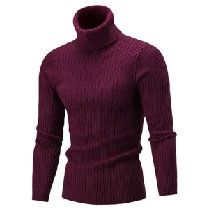 West Louis Turtleneck Solid Casual Sweater