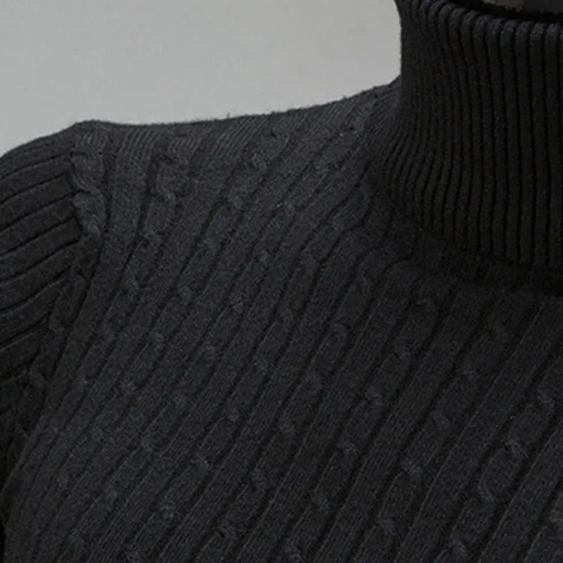 West Louis Turtleneck Solid Casual Sweater